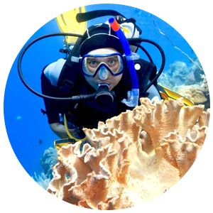 Specialità PADI Conservazione della Barriera Corallina